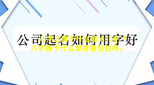 八字上属于什么命 🐶 「八字属于什么命是看日柱吗」